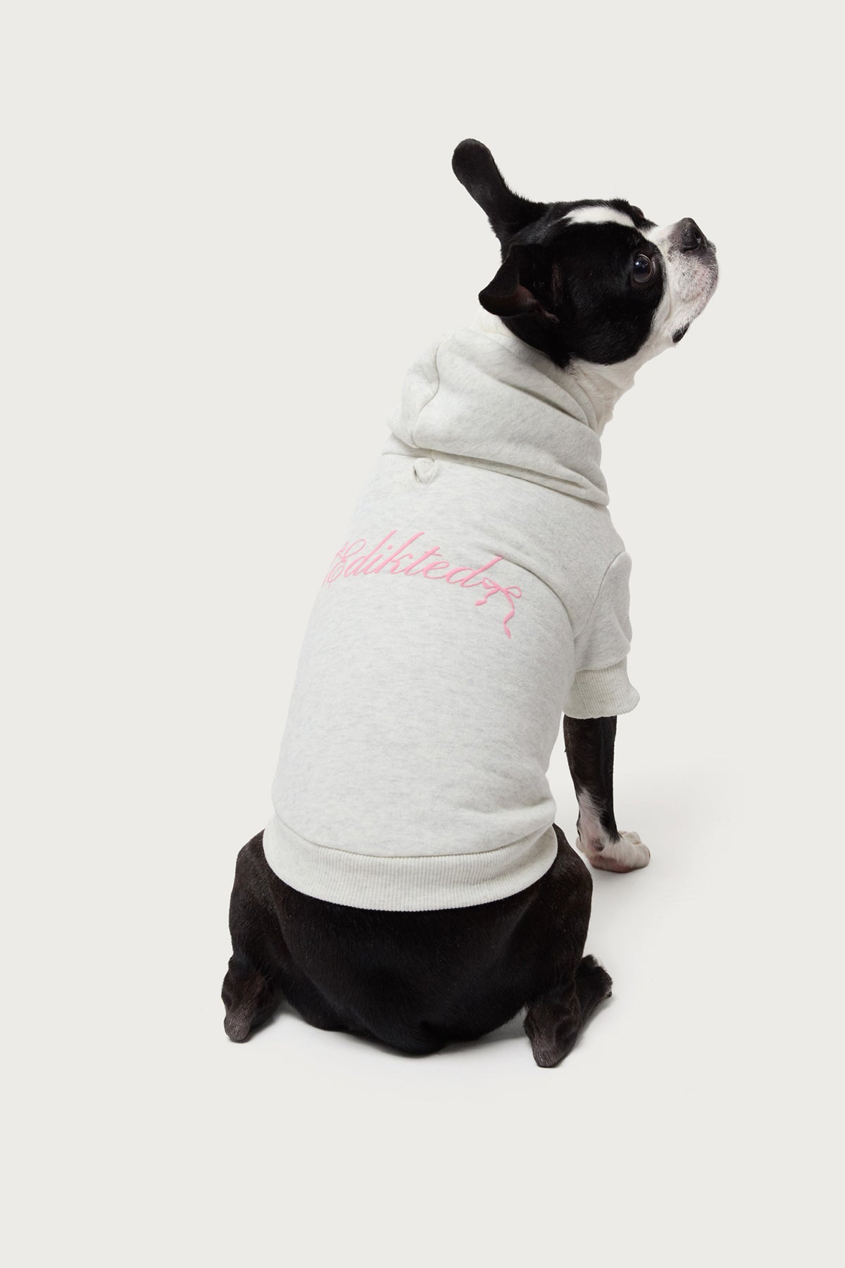 Sasha Bow Detail Pet Hoodie - Image 3
