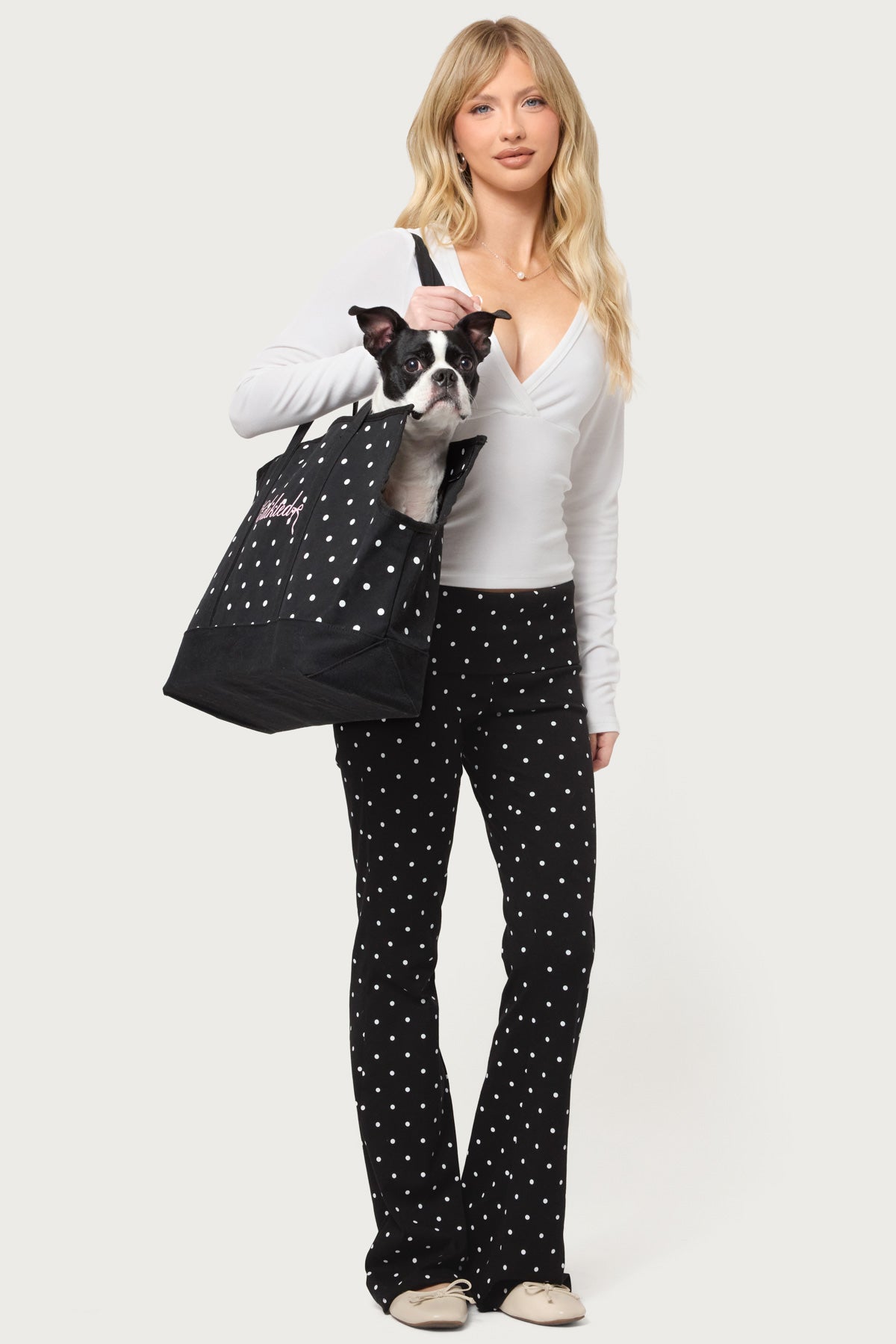 Polka Dot Pet Carrier Tote Bag - Image 3