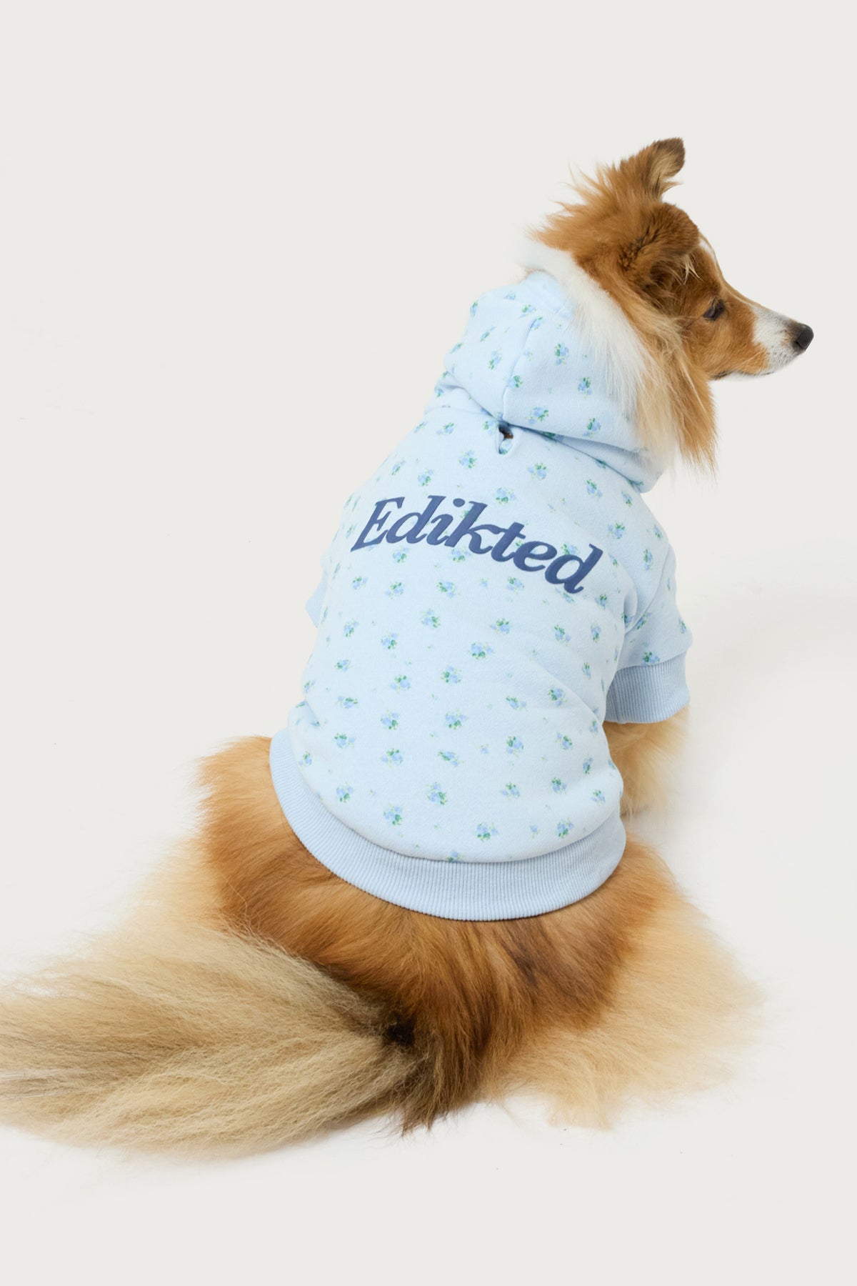 Flower Power Pet Hoodie - Image 2