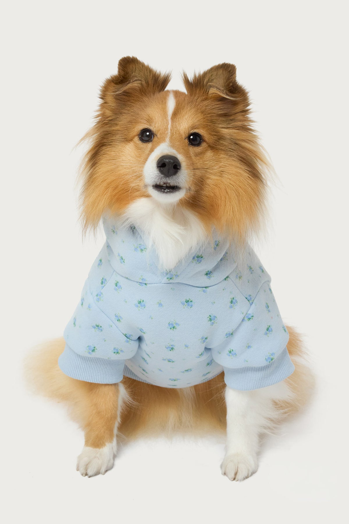 Flower Power Pet Hoodie - Image 3