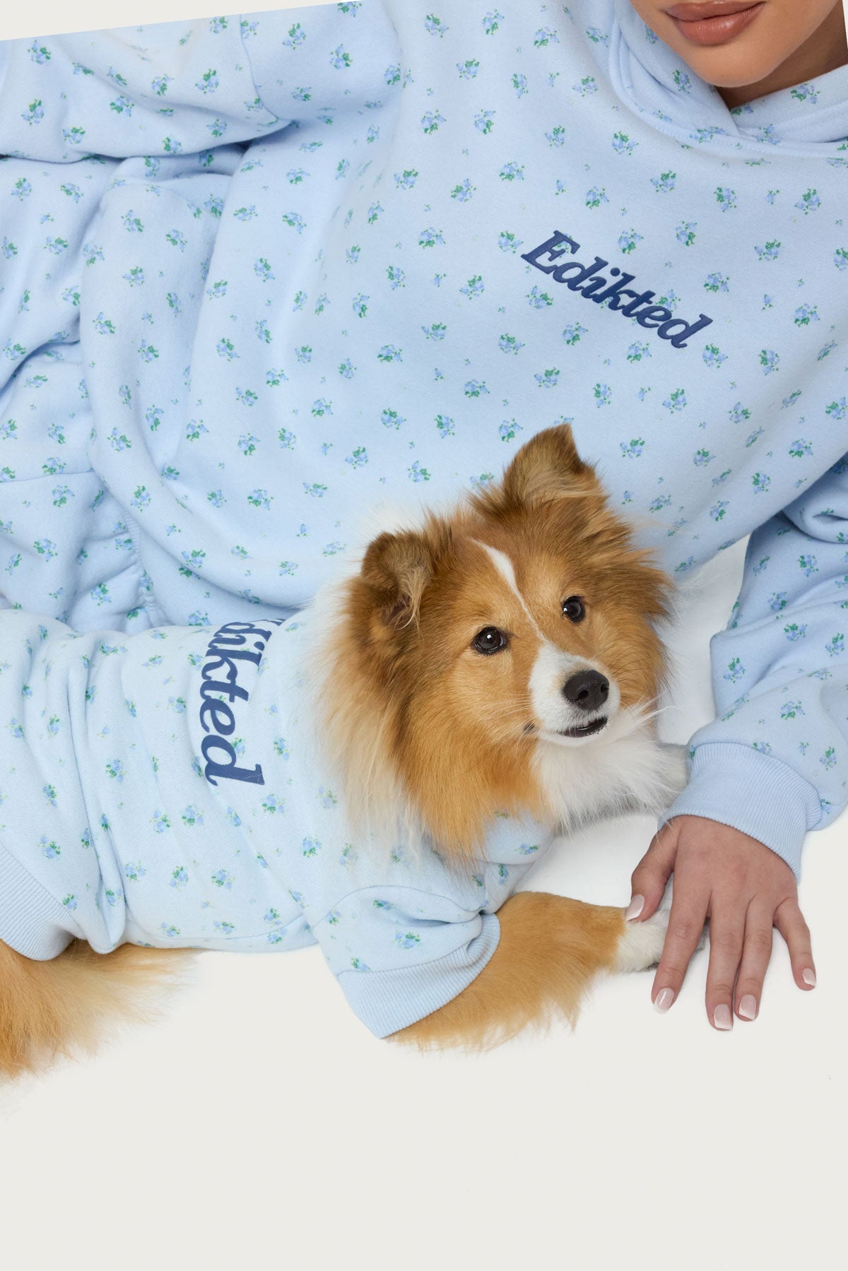Flower Power Pet Hoodie - Image 4
