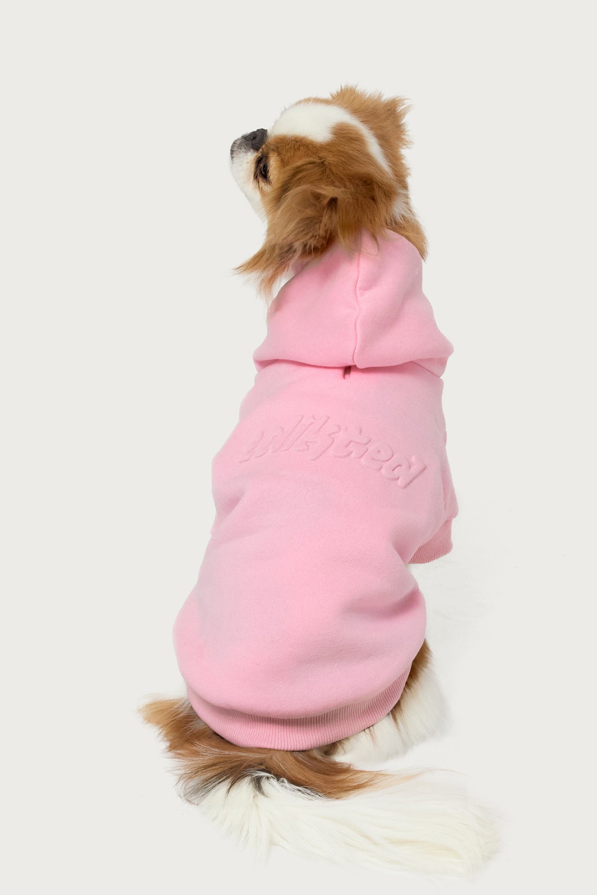 Totally Edikted Pet Hoodie - Image 2