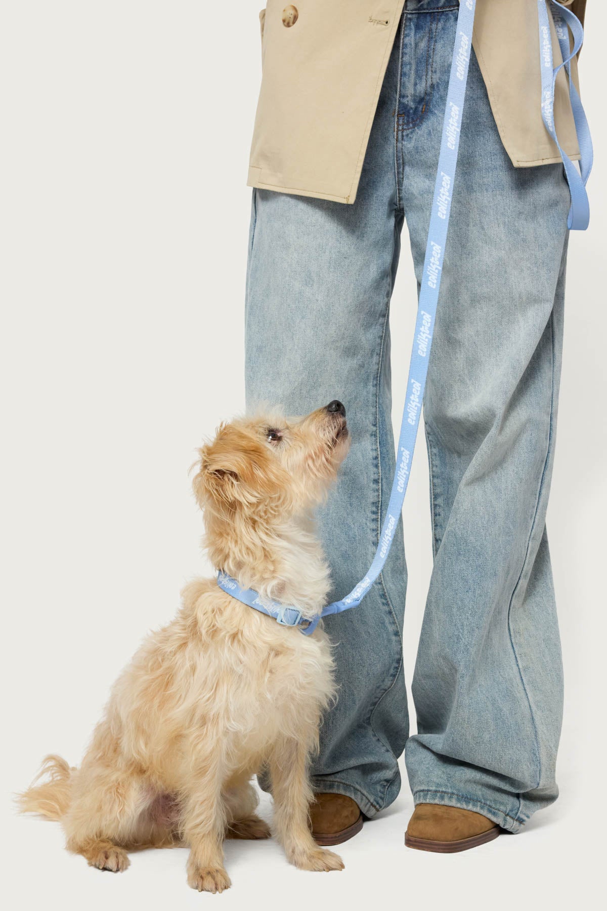 Edikted Pet Leash - Image 2
