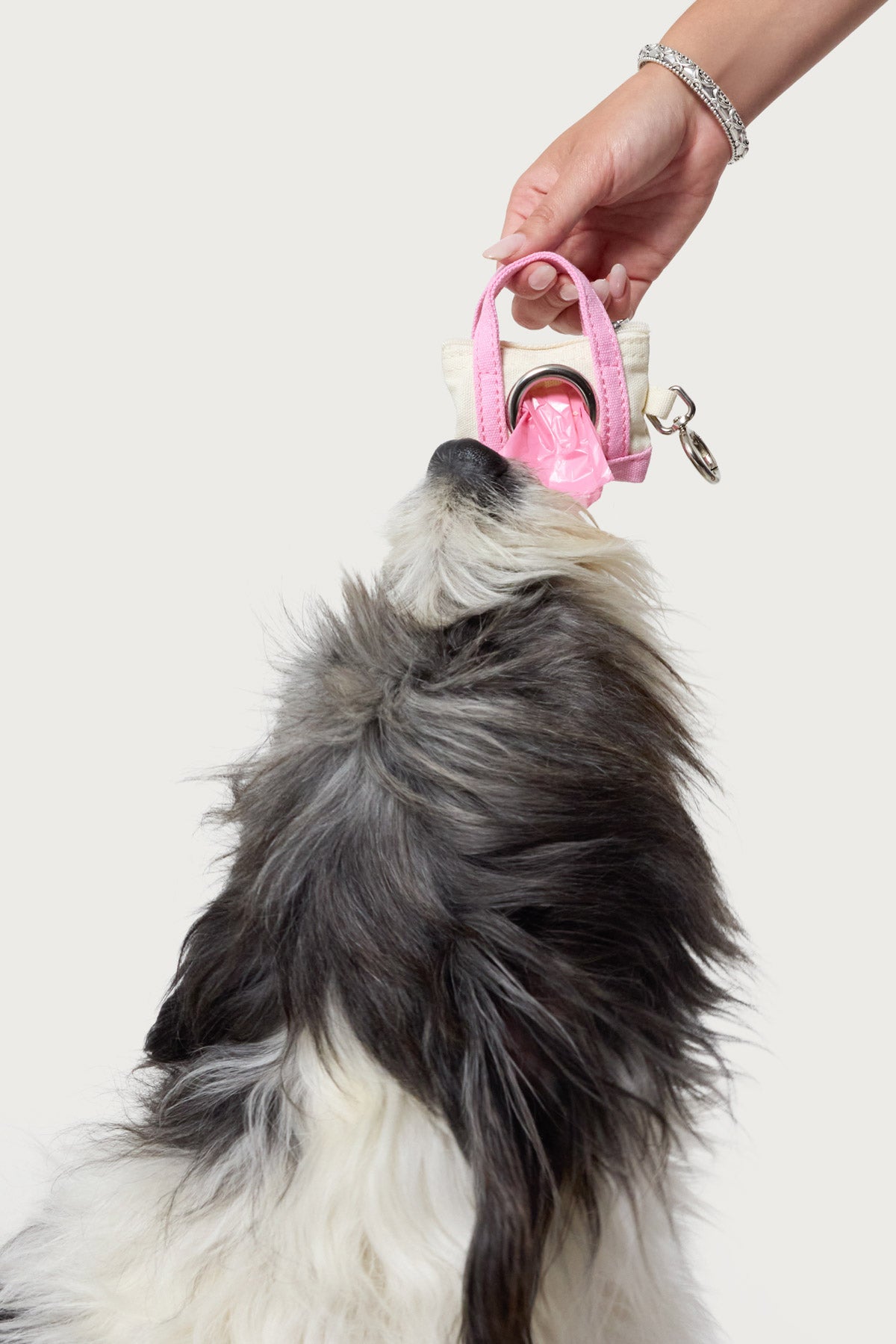 Tidy Tote Poop Bag Holder - Image 2