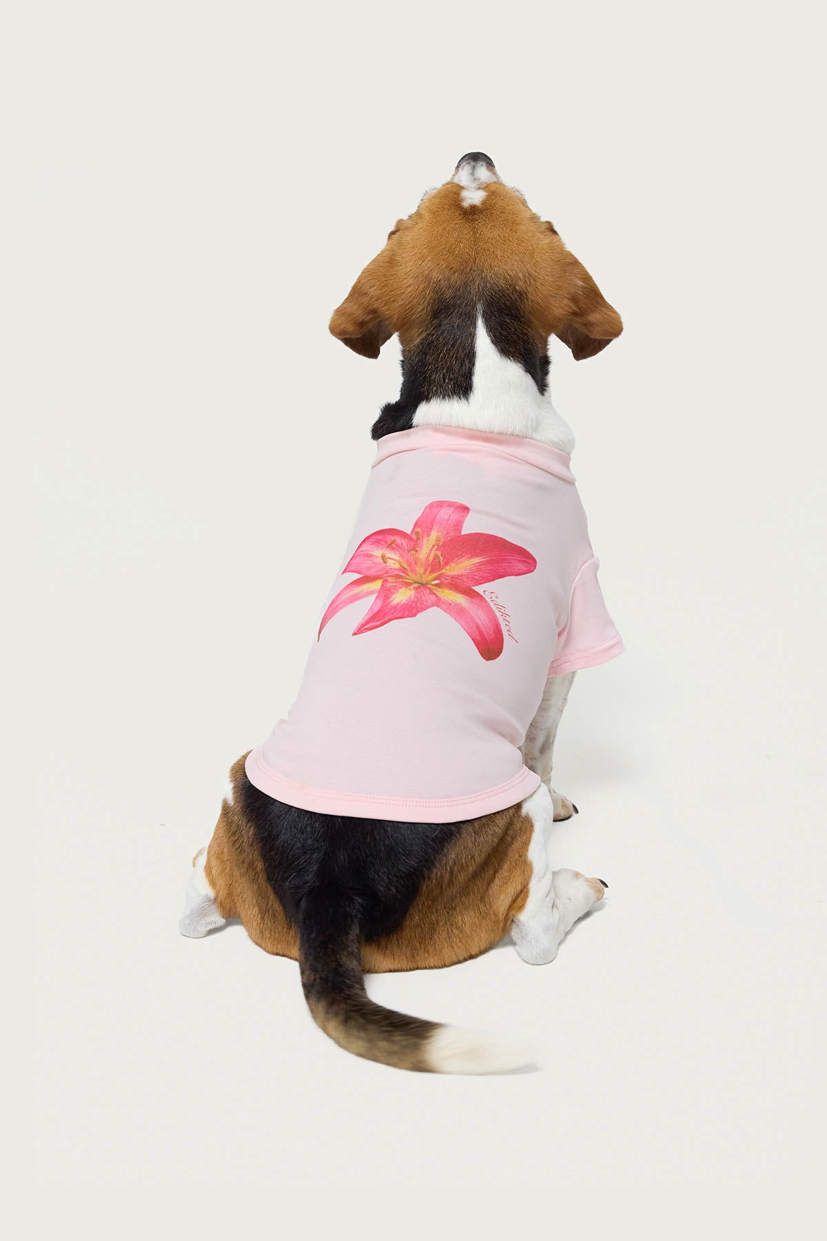 Daylily Pet T Shirt - Image 4